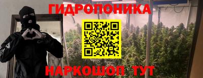 индика Коммунар