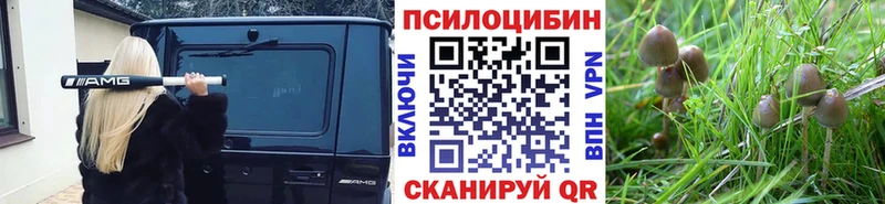Псилоцибиновые грибы прущие грибы  Керчь 