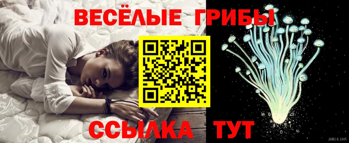 Галлюциногенные грибы GOLDEN TEACHER Керчь
