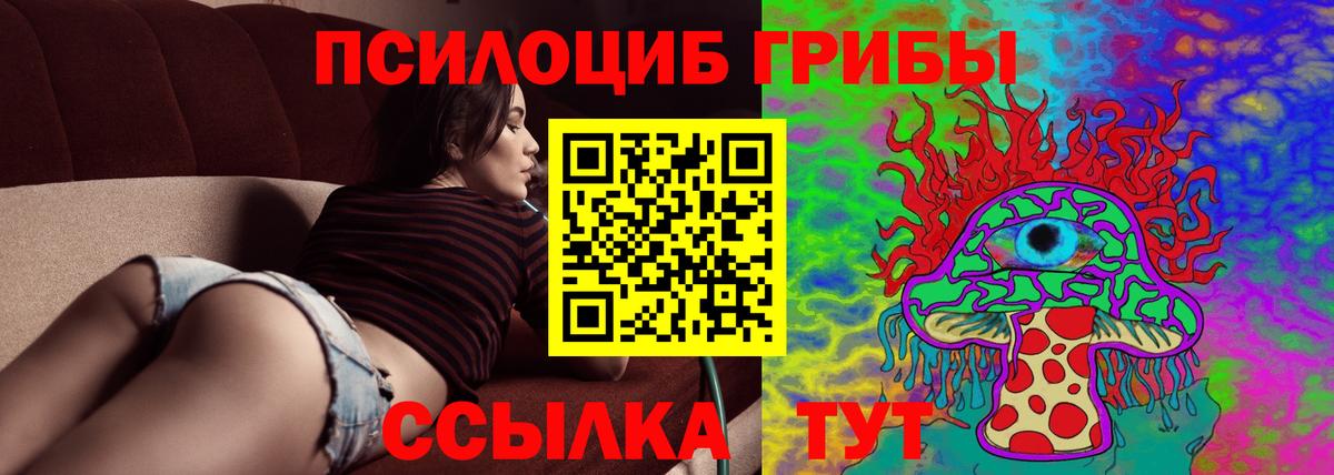 Керчь  Галлюциногенные грибы Cubensis  Вход с VPN 
